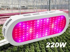 220W dual control LED grow light