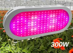 300W dual control LED grow light